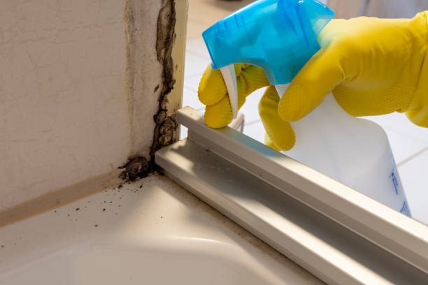 Best Mold Testing  in Bellmead, TX