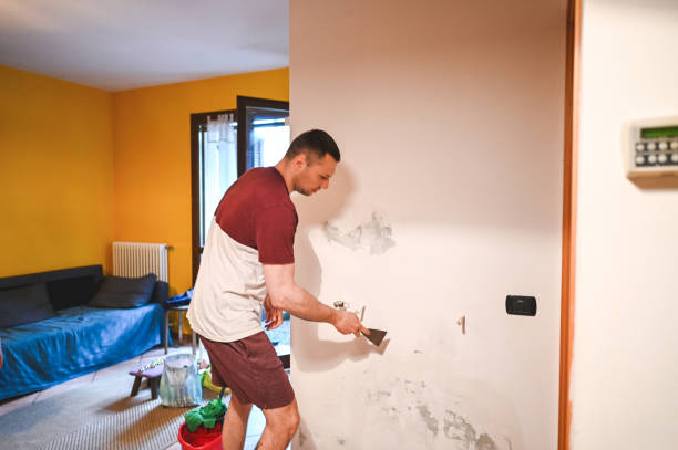 Best Office Mold Removal Services  in Bellmead, TX